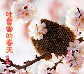 找回自信
