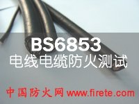 BS6853电线电缆防火阻燃测试-BS EN 50266、BS EN 50305