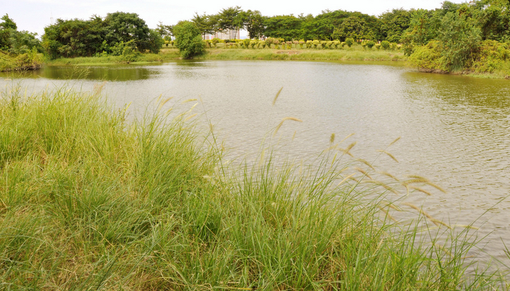 可靠性试验设备循环水塔冷却系统–赛思