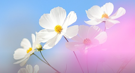 GB 44240-2024新标钠离子电池认证要求