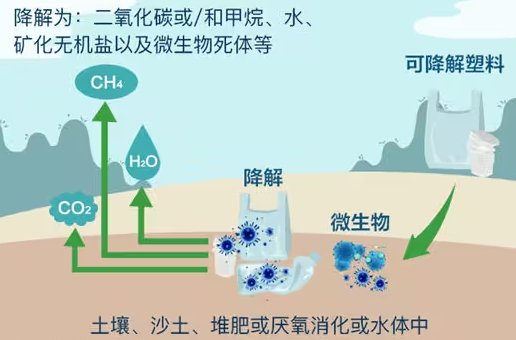 氧化锆氧气传感器在生物降解领域中的应用方案