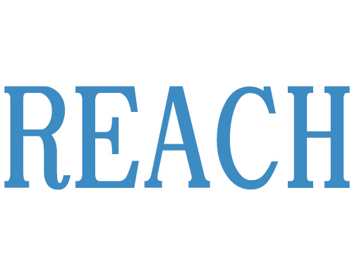 中国版REACH包含多少项？具体是哪些项目？施行时间？